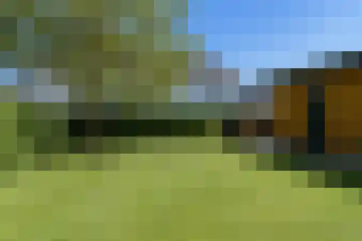 Dassenlaar 10 Bavel thumbnail 73