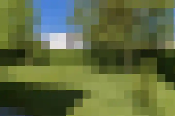 Dassenlaar 10 Bavel thumbnail 74