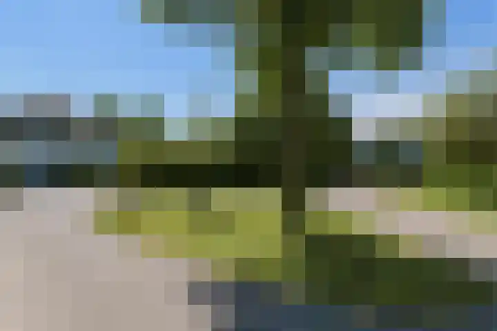 Dassenlaar 10 Bavel thumbnail 78