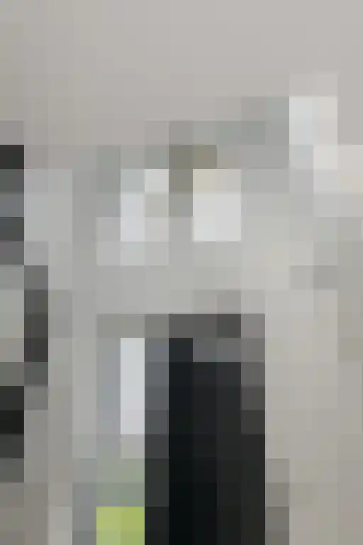 Dassenlaar 10 Bavel thumbnail 8