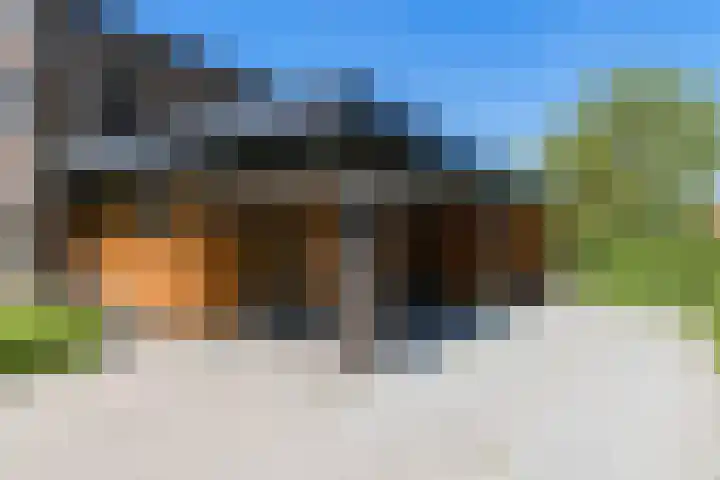 Dassenlaar 10 Bavel thumbnail 81