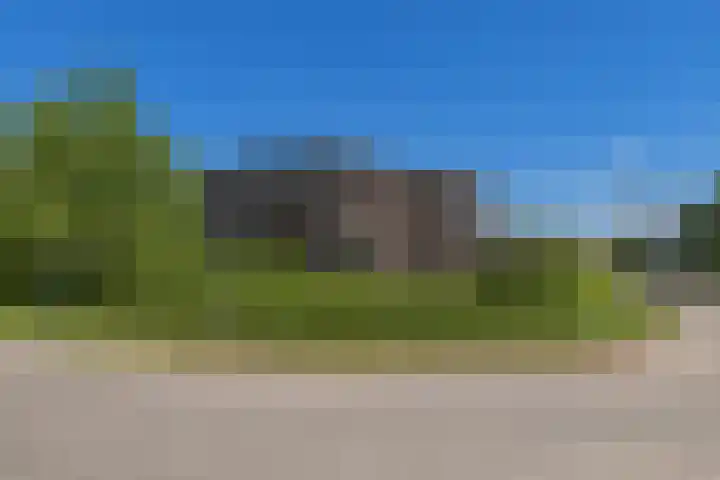 Dassenlaar 10 Bavel thumbnail 82