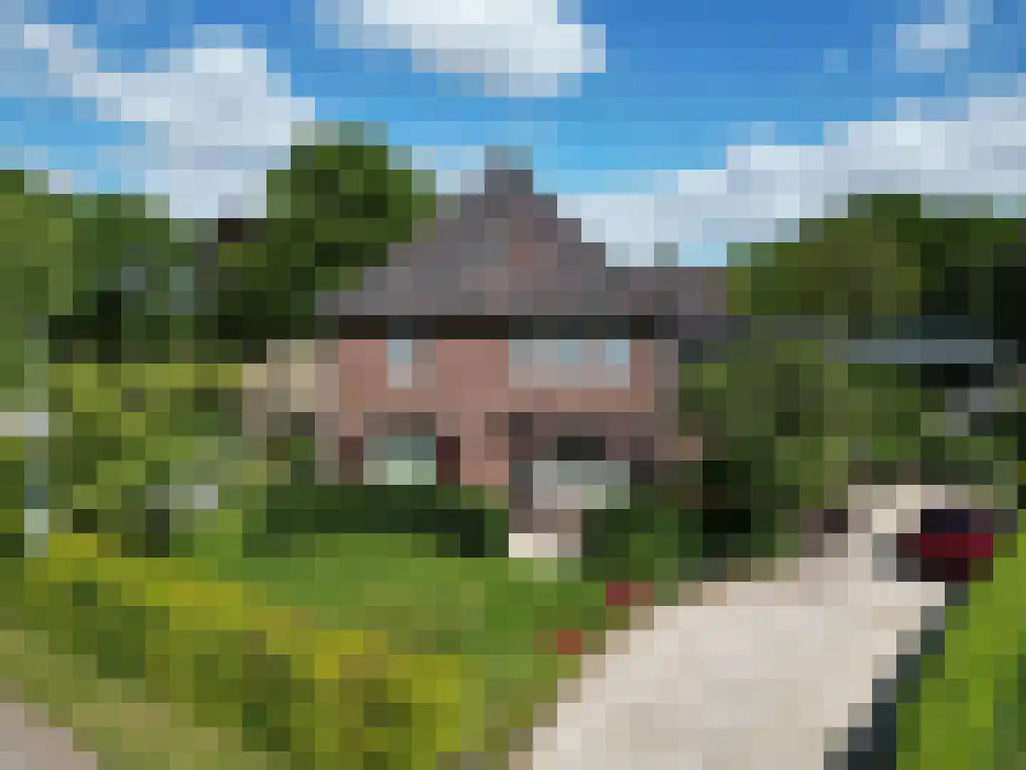 Dassenloop 13 Hernen