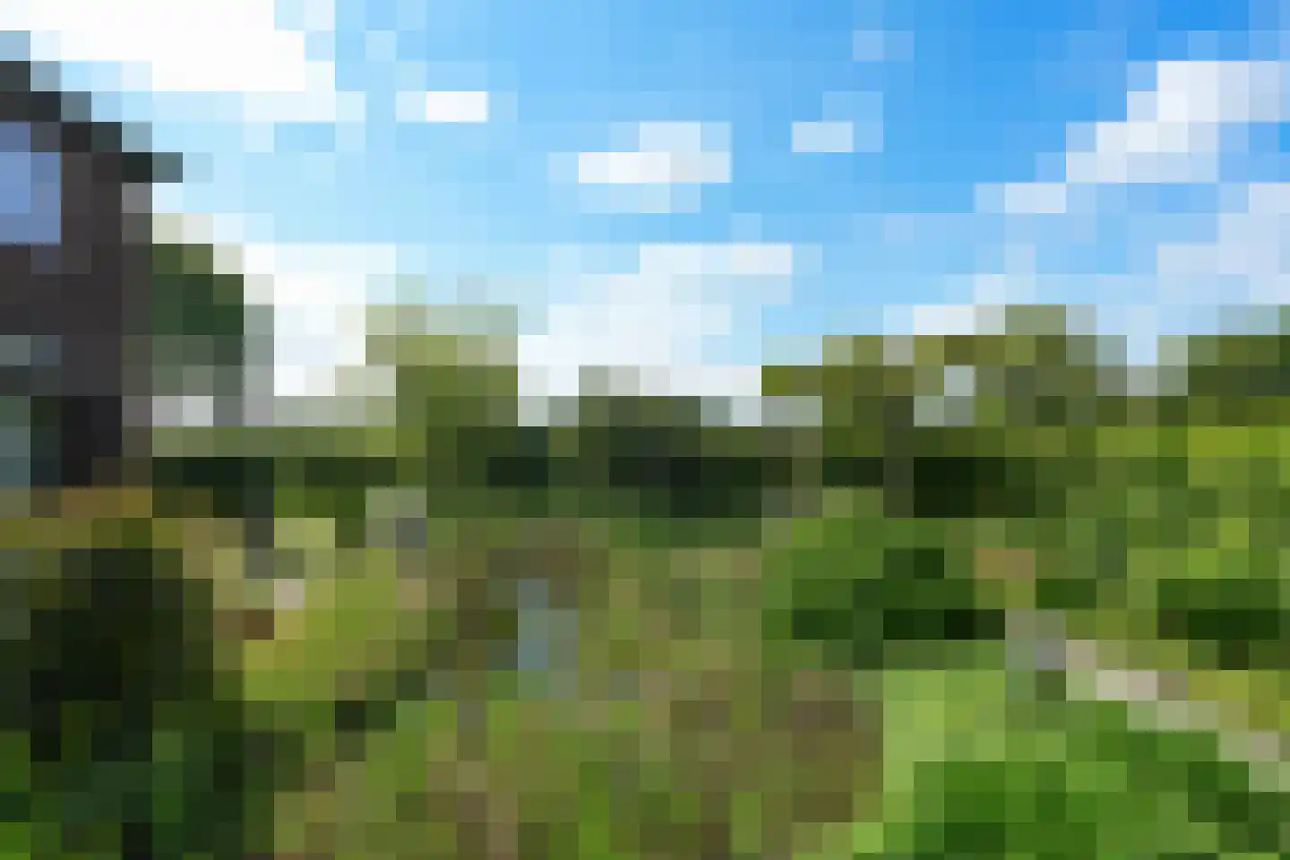 Dassenloop 13 Hernen thumbnail 34