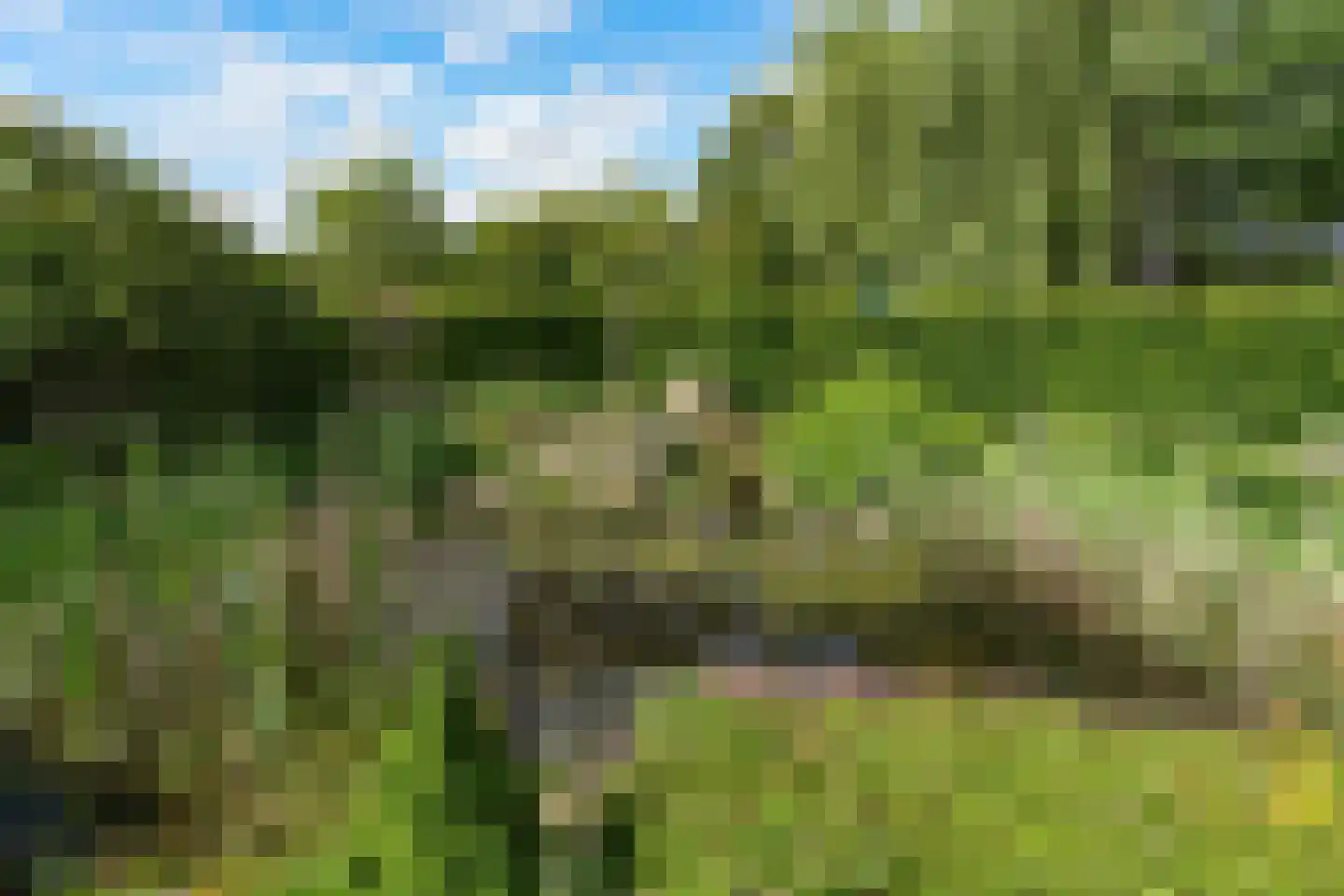 Dassenloop 13 Hernen thumbnail 36