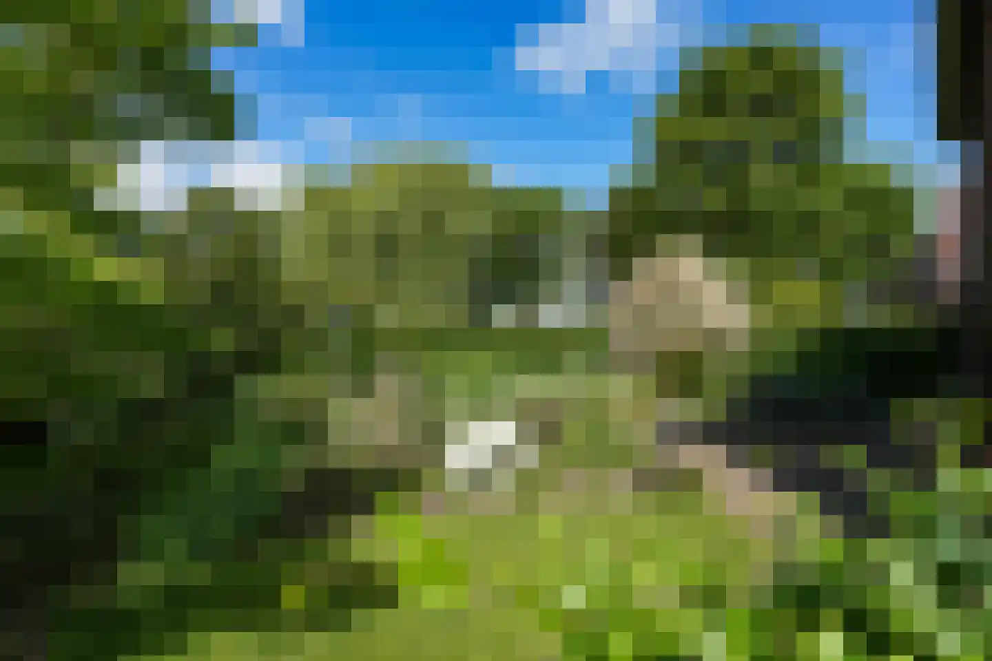 Dassenloop 13 Hernen thumbnail 37