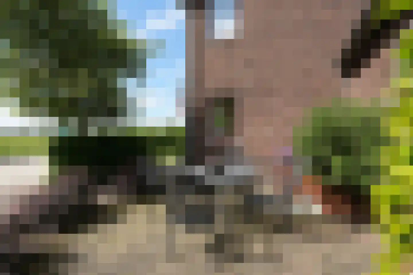 Dassenloop 13 Hernen thumbnail 40