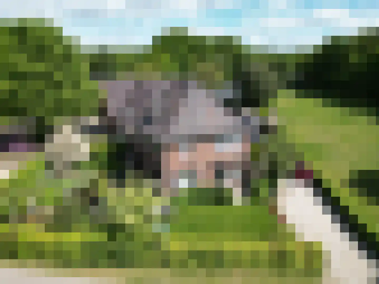 Dassenloop 13 Hernen thumbnail 43