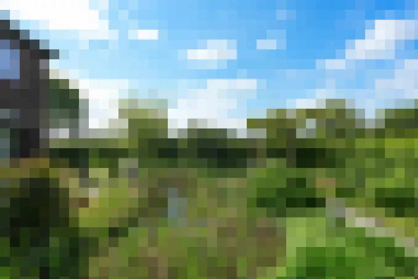 Dassenloop 13 Hernen thumbnail 52