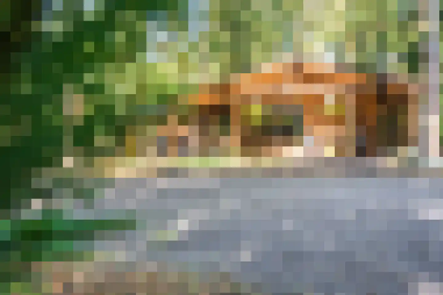 Dassenpad 15 Norg thumbnail 24