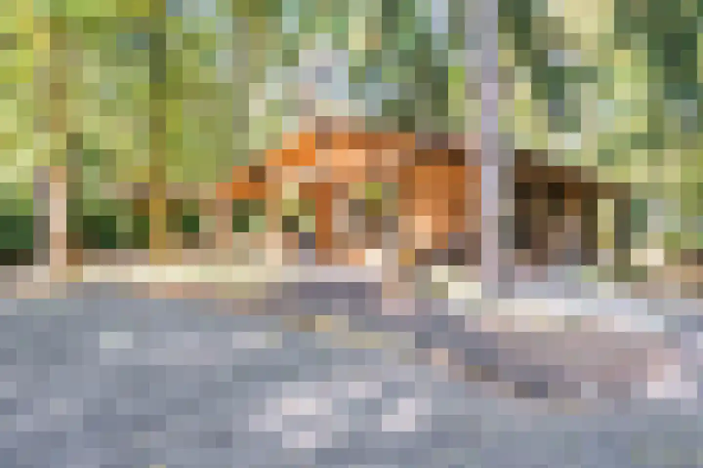 Dassenpad 15 Norg thumbnail 25