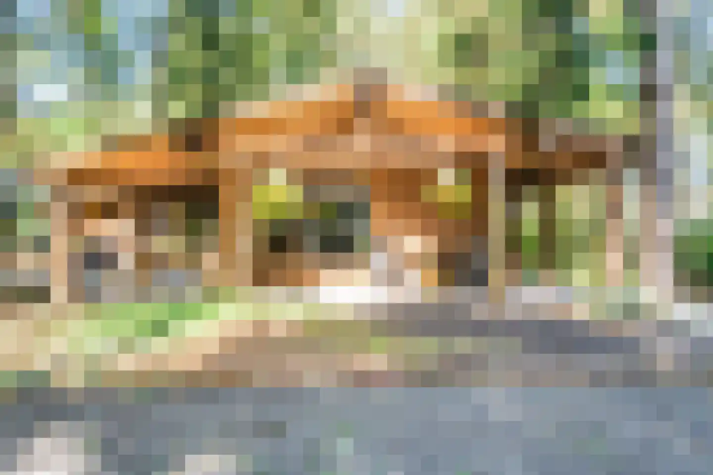 Dassenpad 15 Norg thumbnail 26