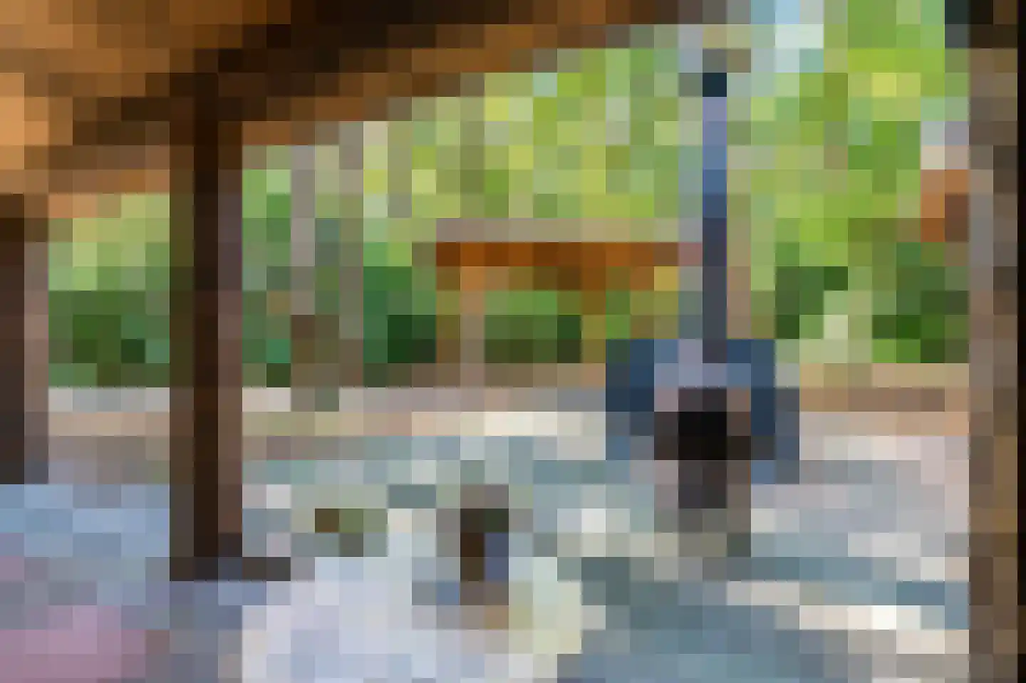 Dassenpad 15 Norg thumbnail 31