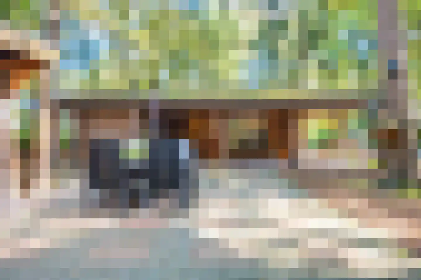 Dassenpad 15 Norg thumbnail 32