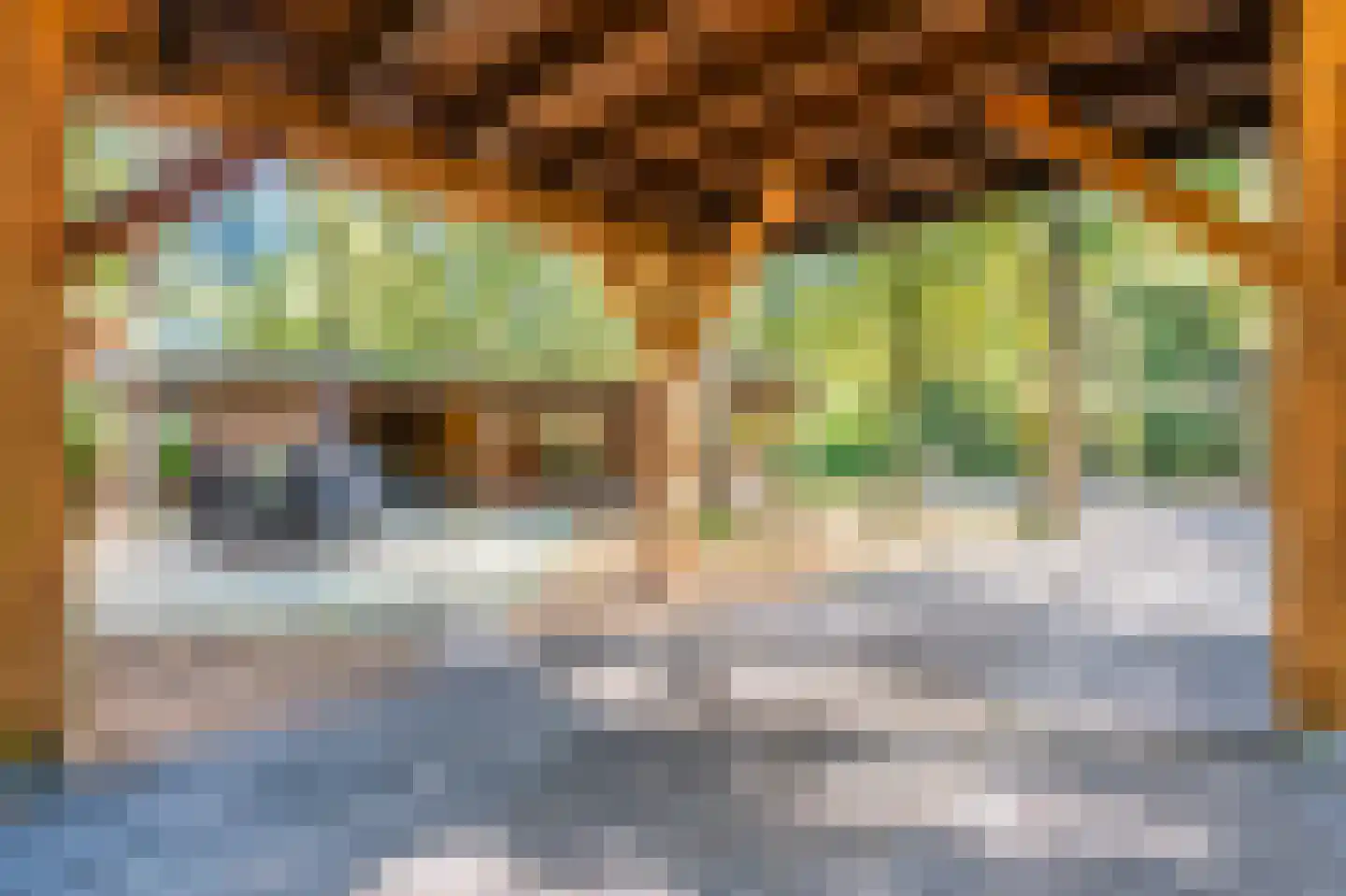 Dassenpad 15 Norg thumbnail 33