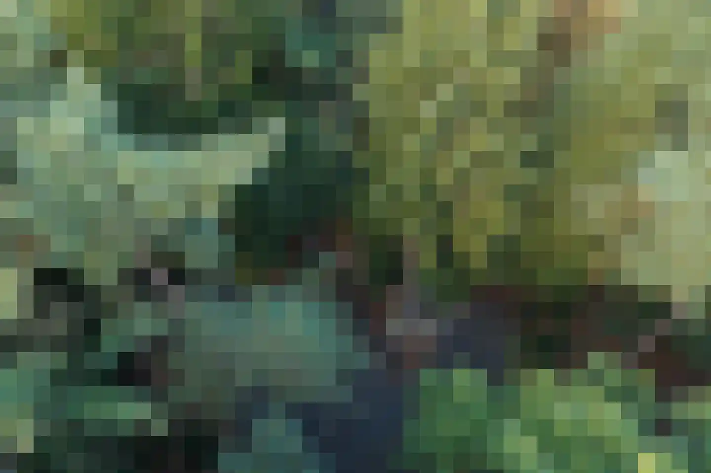 Dassenpad 15 Norg thumbnail 35