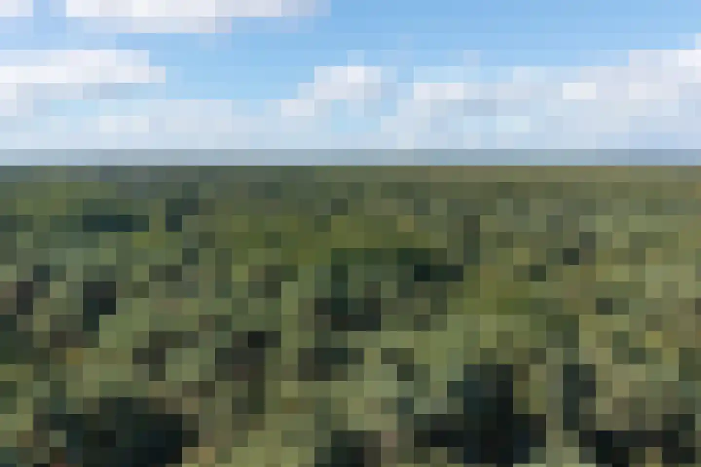 Dassenpad 15 Norg thumbnail 36