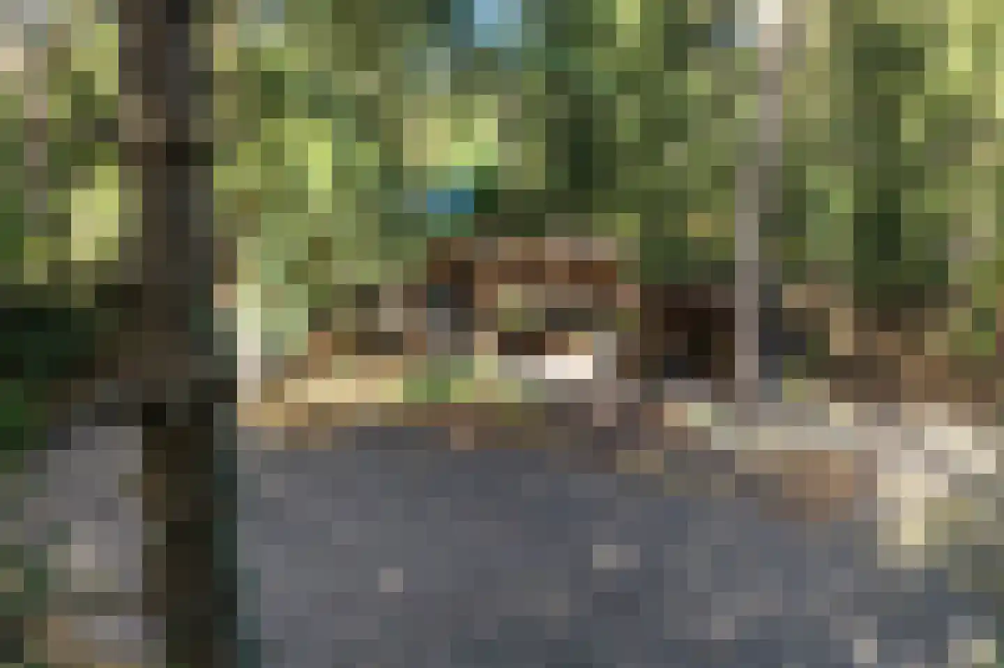 Dassenpad 15 Norg thumbnail 4
