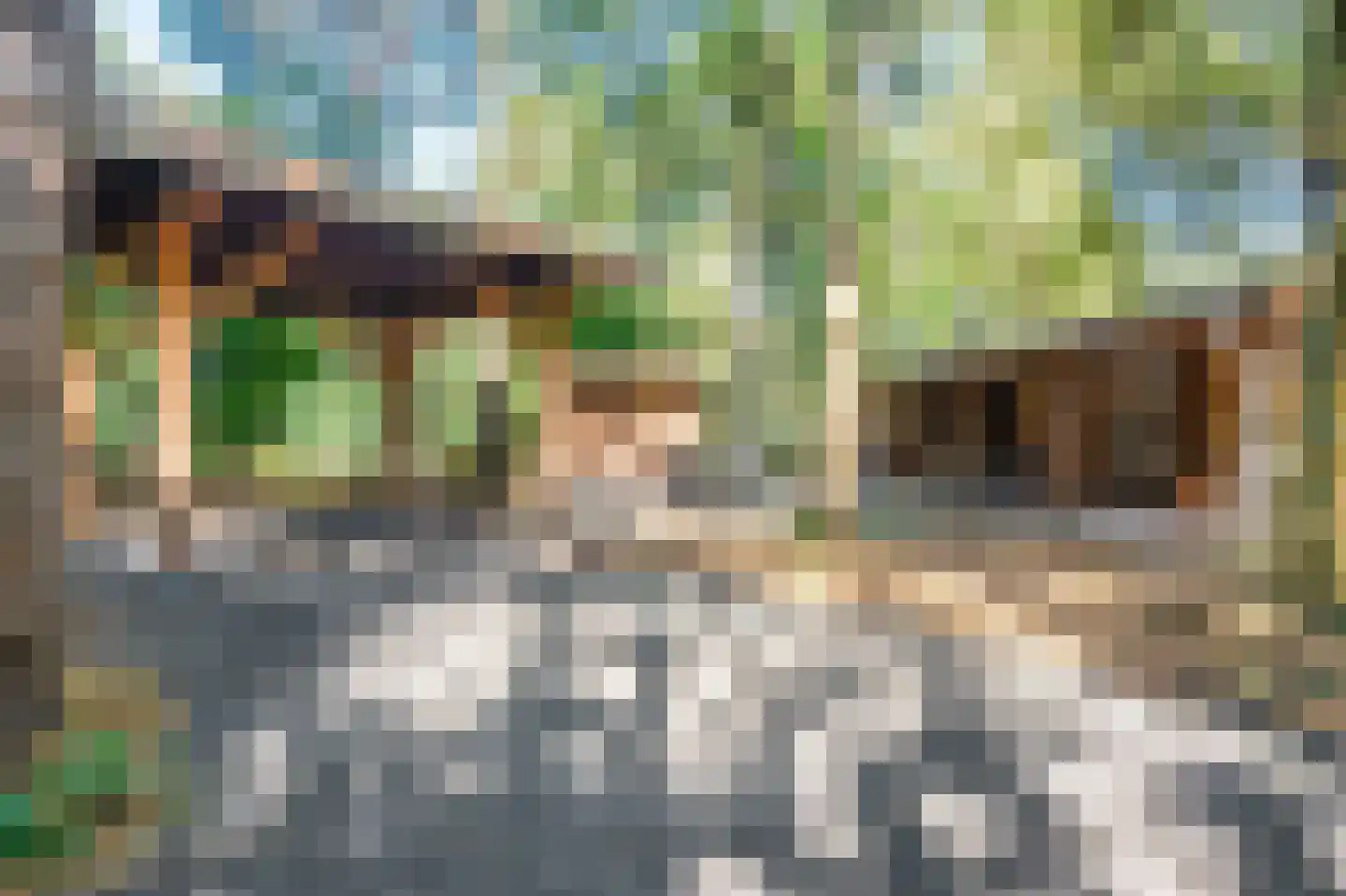 Dassenpad 15 Norg thumbnail 6