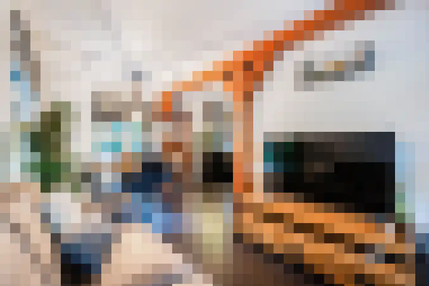 Dassenpad 15 Norg thumbnail 9