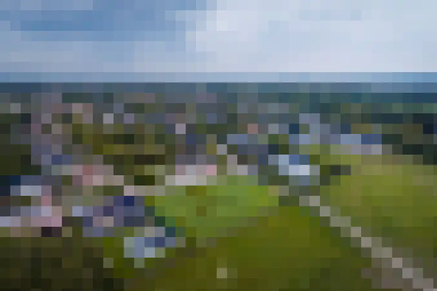 Dassenpad 8 Klimmen foto 3