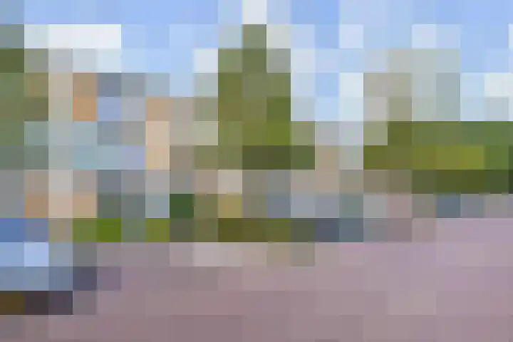 Dassenrade 19 Den Haag thumbnail 41
