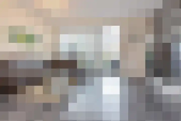 Dassenrade 19 Den Haag thumbnail 6