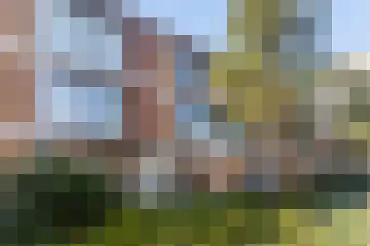 Dassenrade 21 in Den Haag