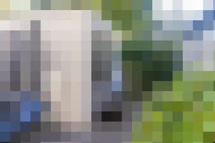 Dassenrade 21 Den Haag thumbnail 17