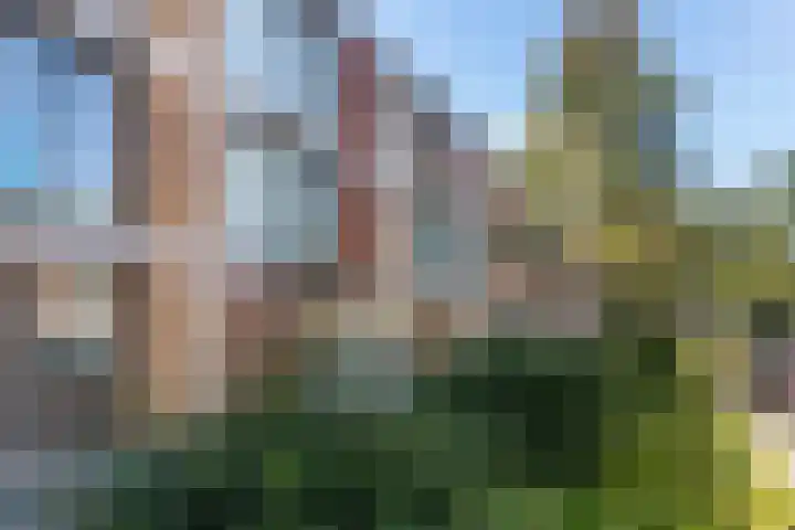 Dassenrade 21 Den Haag thumbnail 35
