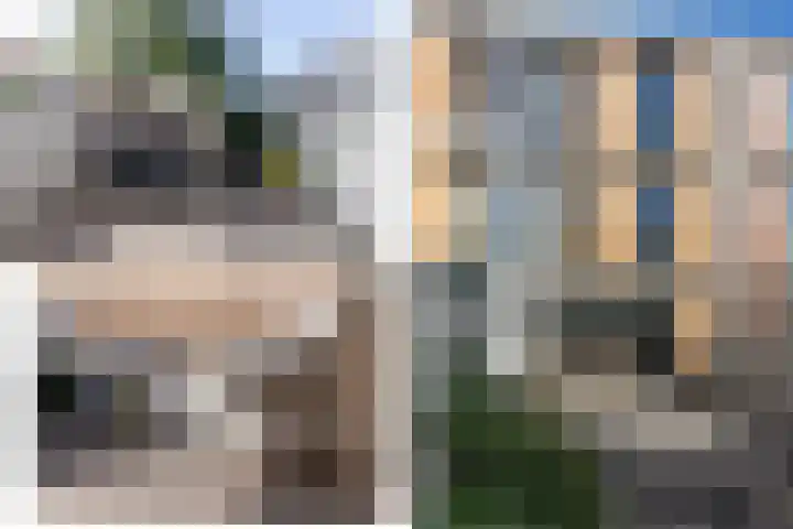 Dassenrade 21 Den Haag thumbnail 4