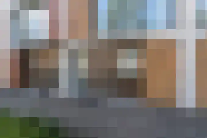 Dassenrade 21 Den Haag thumbnail 5