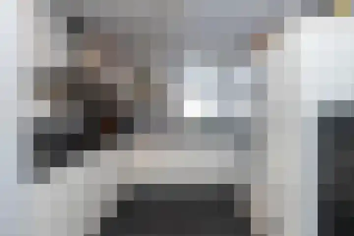 Dassenrade 21 Den Haag thumbnail 8