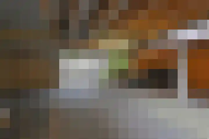 Dassenrade 84 Den Haag thumbnail 31