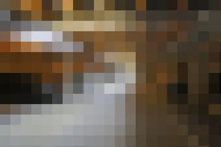 Dassenrade 84 Den Haag thumbnail 32