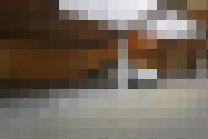 Dassenrade 84 Den Haag thumbnail 35