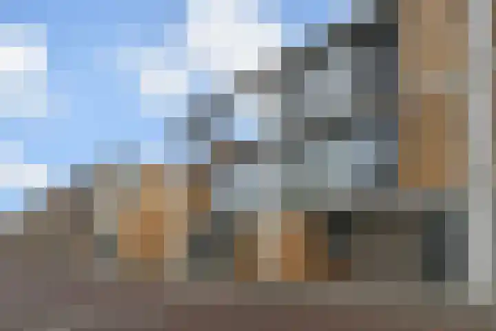 Dassenrade 84 Den Haag thumbnail 5
