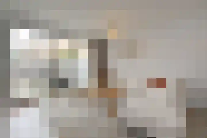Dassenrade 84 Den Haag thumbnail 7