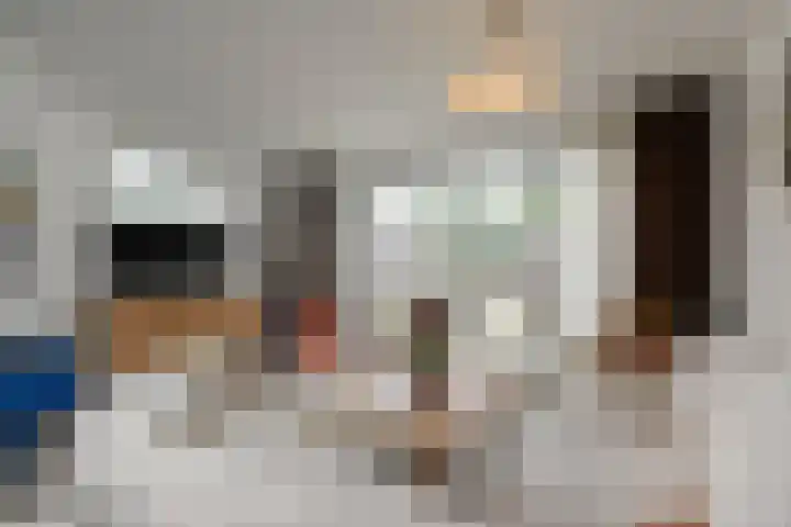 Dassenrade 84 Den Haag thumbnail 8