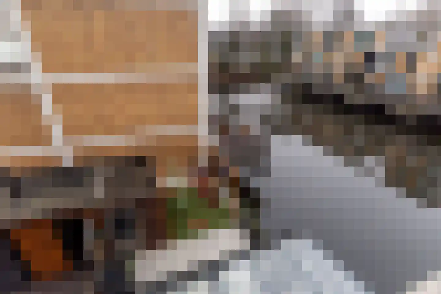 Dassenrade 88 Den Haag thumbnail 31