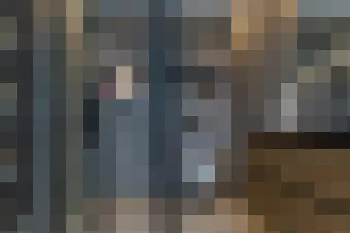 Dassenrade 88 Den Haag thumbnail 4