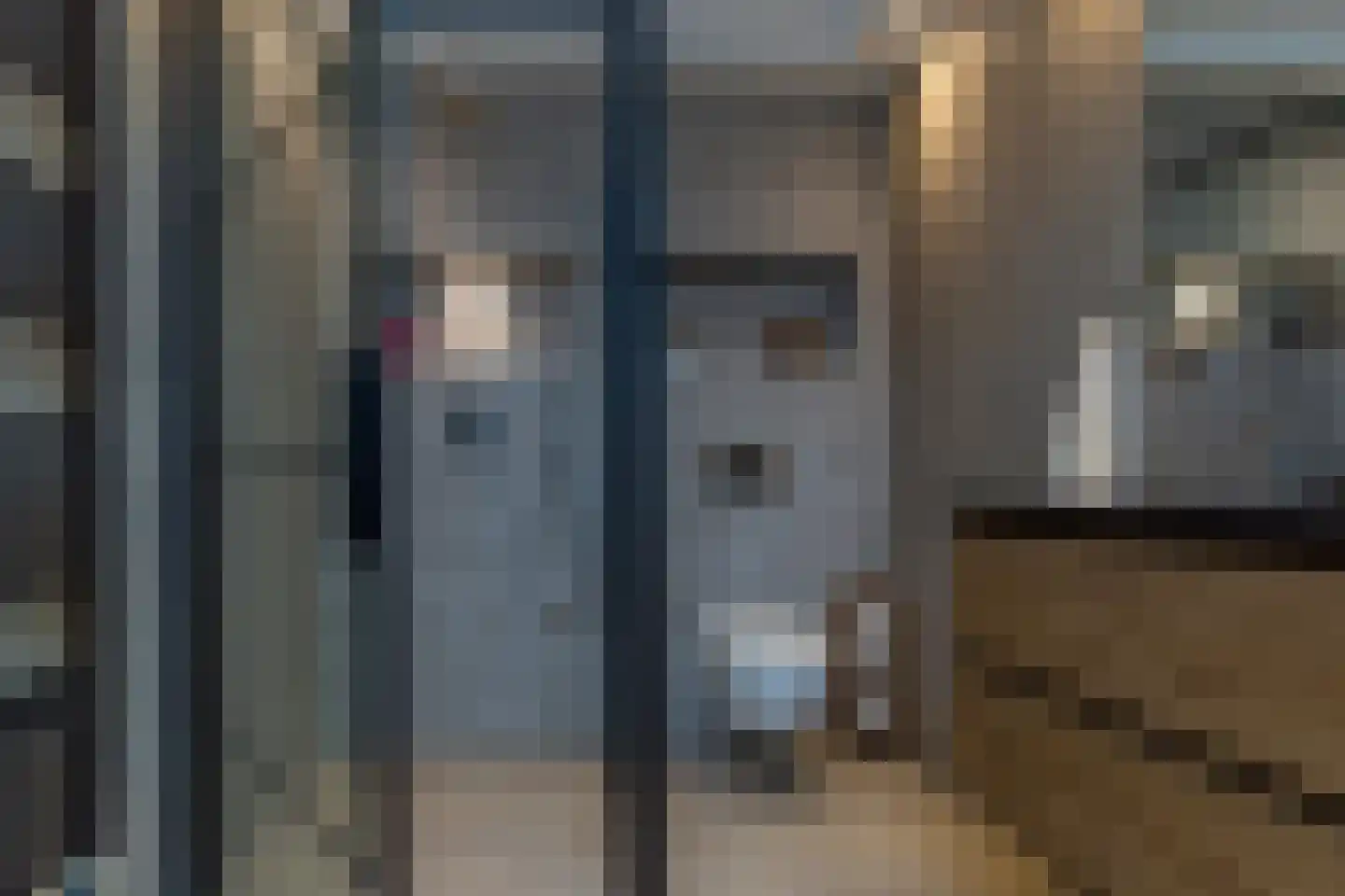 Dassenrade 88 Den Haag thumbnail 4