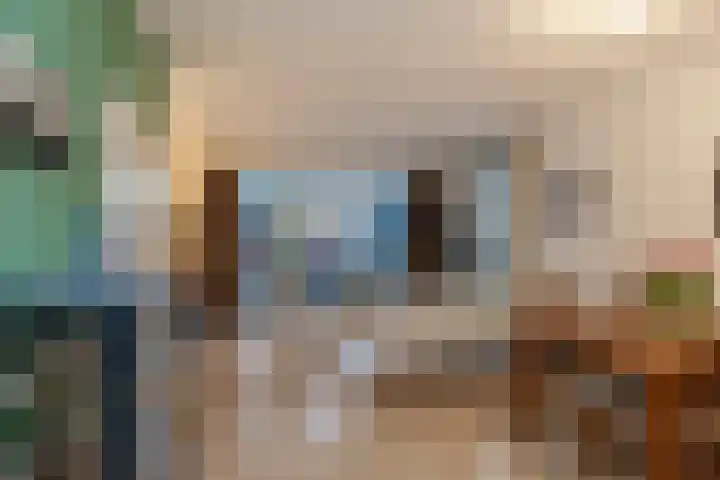 Dassenrade 88 Den Haag thumbnail 6