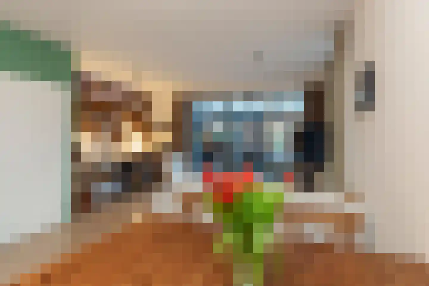Dassenrade 88 Den Haag thumbnail 7