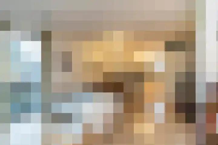 Dassenrade 88 Den Haag thumbnail 9
