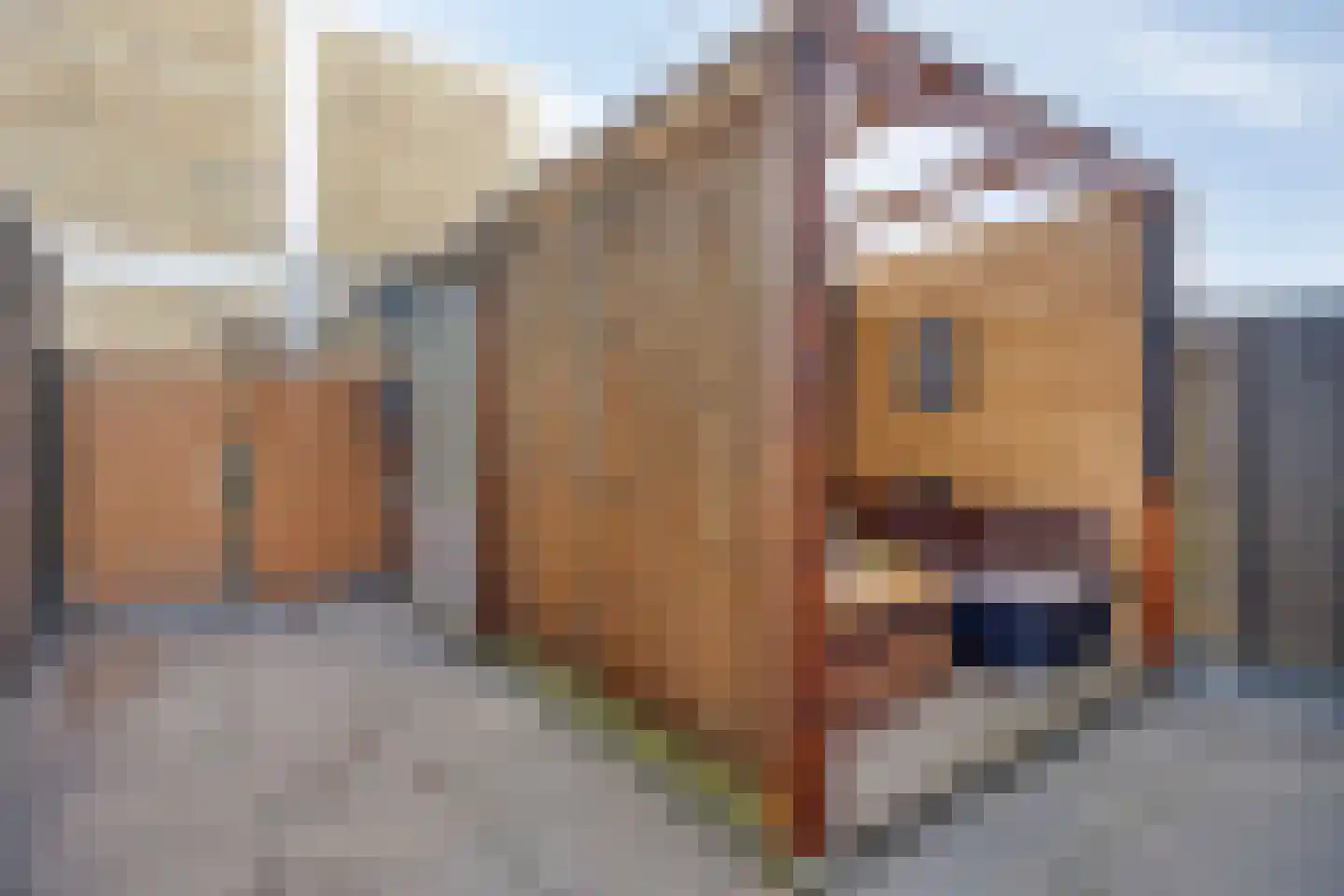 Dassenrade 92 Den Haag thumbnail 13