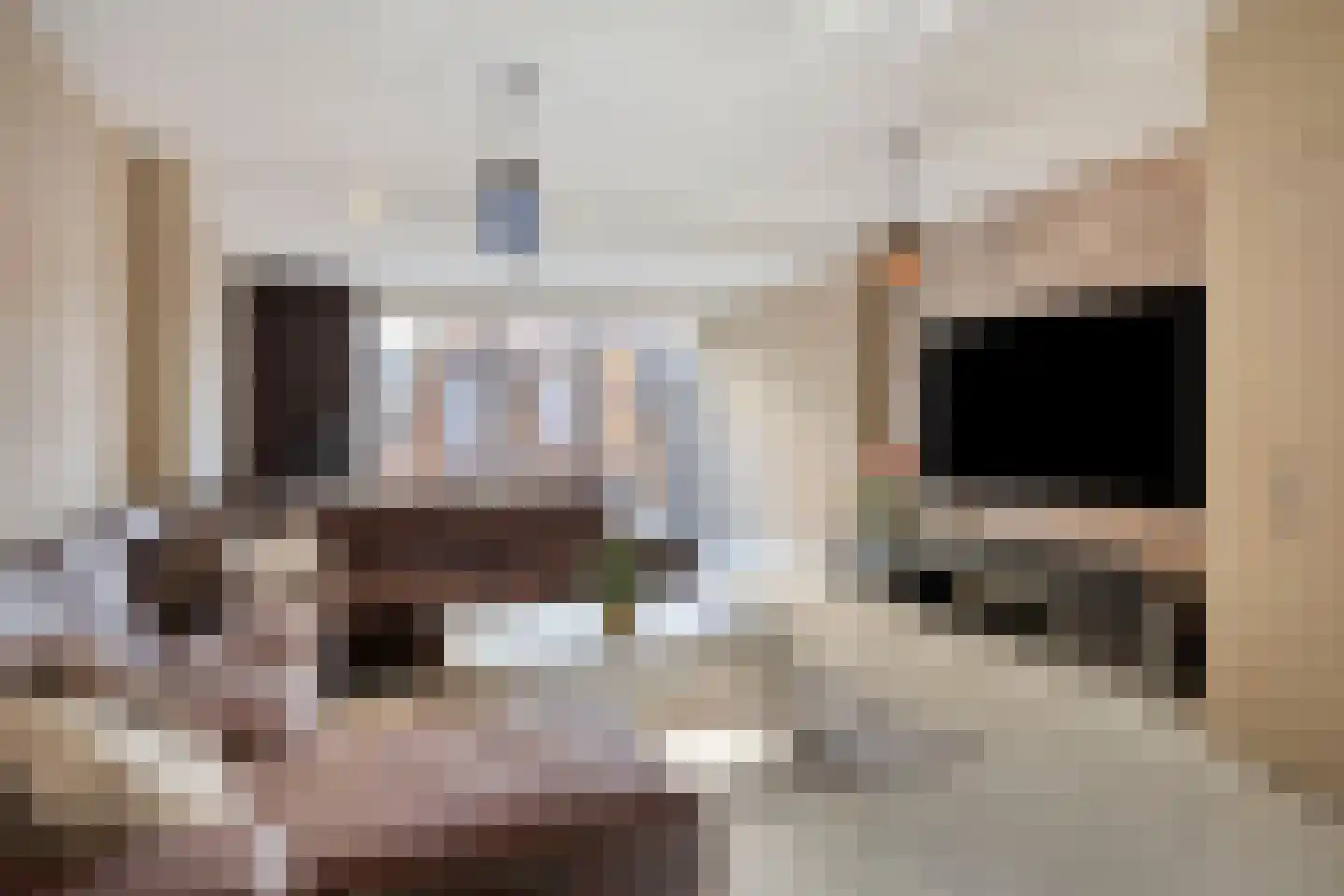 Dassenrade 92 Den Haag thumbnail 8
