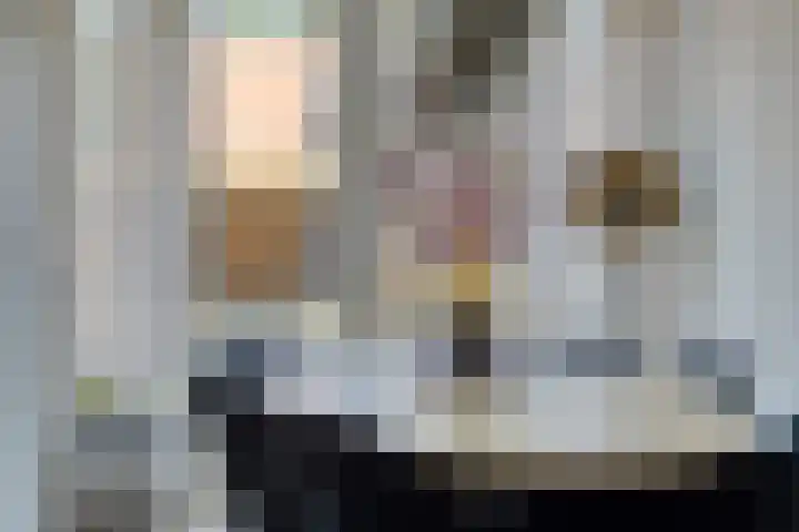 Dassenslag 20 Assen thumbnail 10