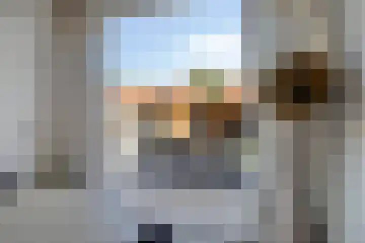 Dassenslag 20 Assen thumbnail 11