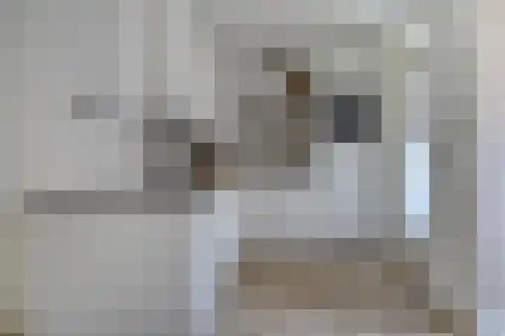 Dassenslag 20 Assen thumbnail 12